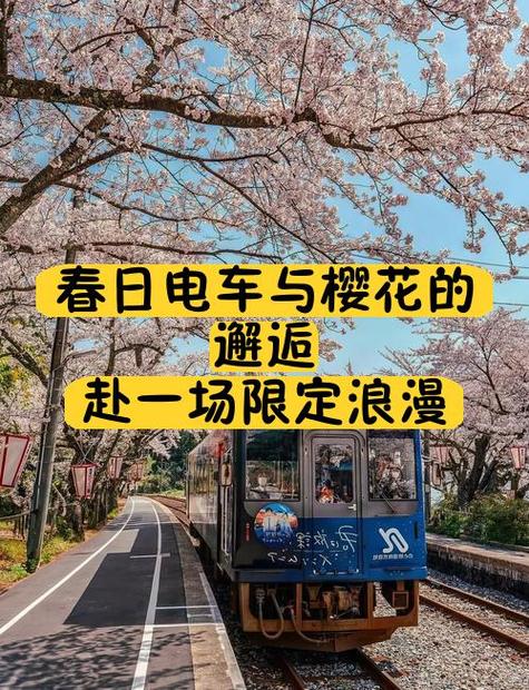 邂逅电车最新版本分析：探讨游戏更新与玩家体验