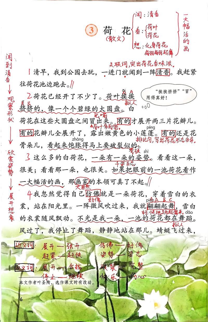 深入解析《一夏之花》：游戏下载与游戏体验的全面评估