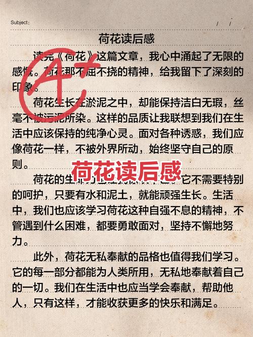 深入分析《一夏之花最新》的游戏设计与市场表现
