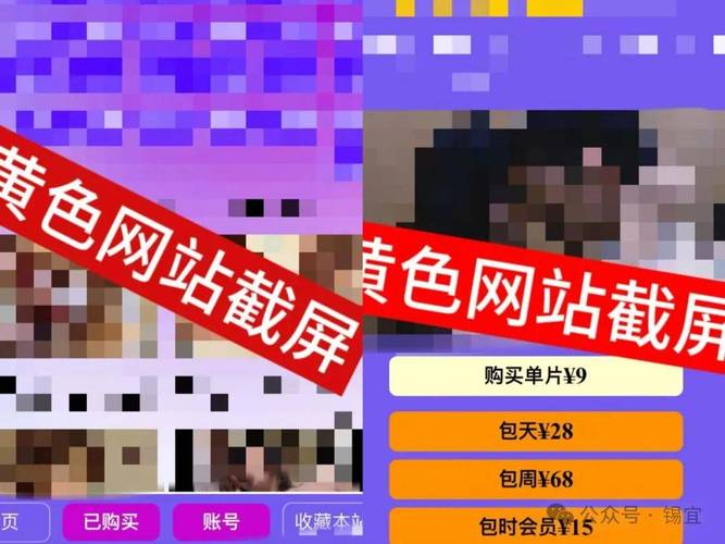 如何下载涩豆豆：详细操作教程