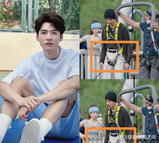 盯档猫最新使用教程：轻松上手的实用指南