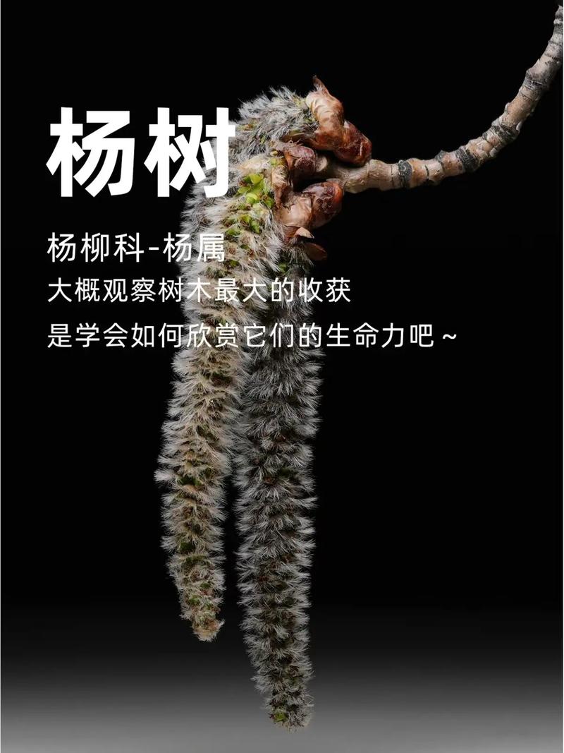 深入分析《森林之子杨过游戏》的设计理念与玩家体验