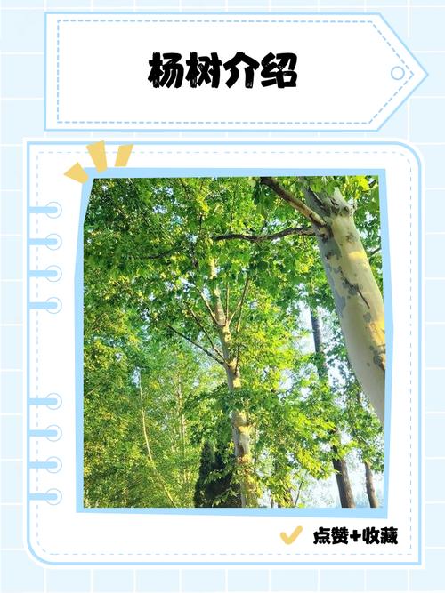 深入分析《森林之子杨过游戏》的设计理念与玩家体验