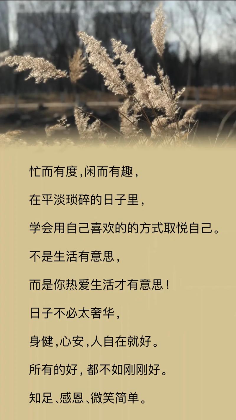 简单的日子最新版本：深度分析与游戏体验的提升