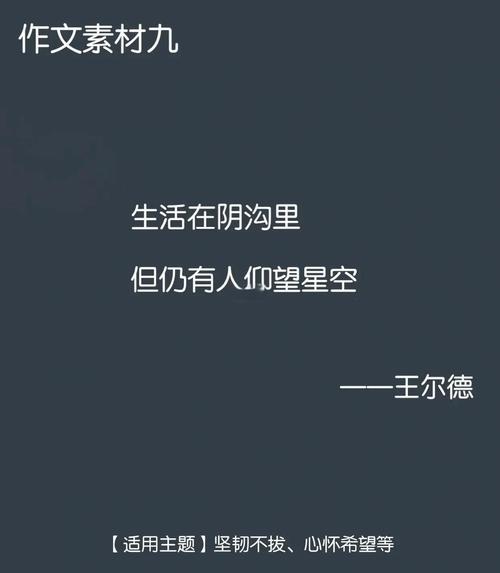 深度解析《星光之欲》官方正式版下载最新版的魅力与潜力