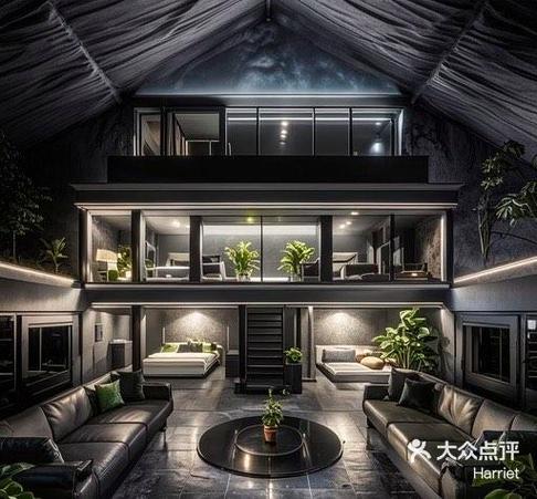 揭秘“神秘别墅”：安卓汉化背后的技术与市场分析