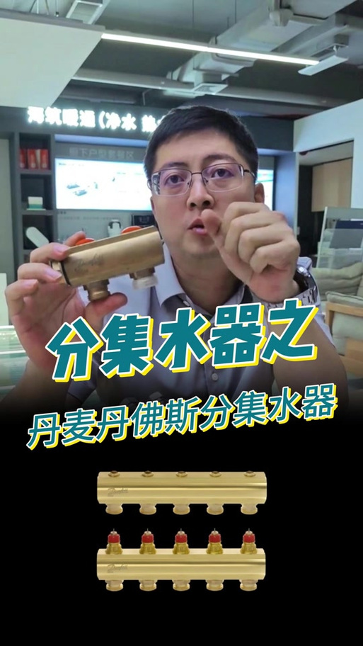 深度解析：丹弗斯女士最新版本的进化与创新