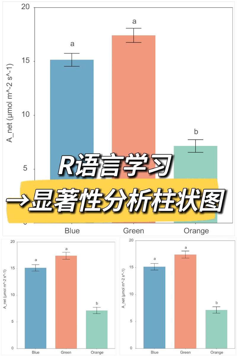 深入分析Rinapo安卓：绅士游戏的新潮流与挑战