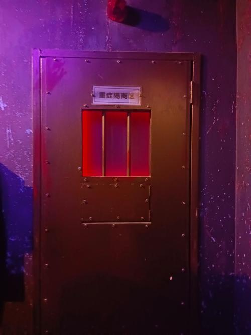 封闭区域Z最新：探索新兴玩法与用户体验的深度分析