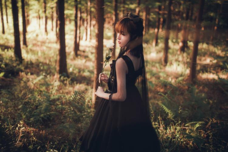 探索日落仙子的下载途径与安全性分析