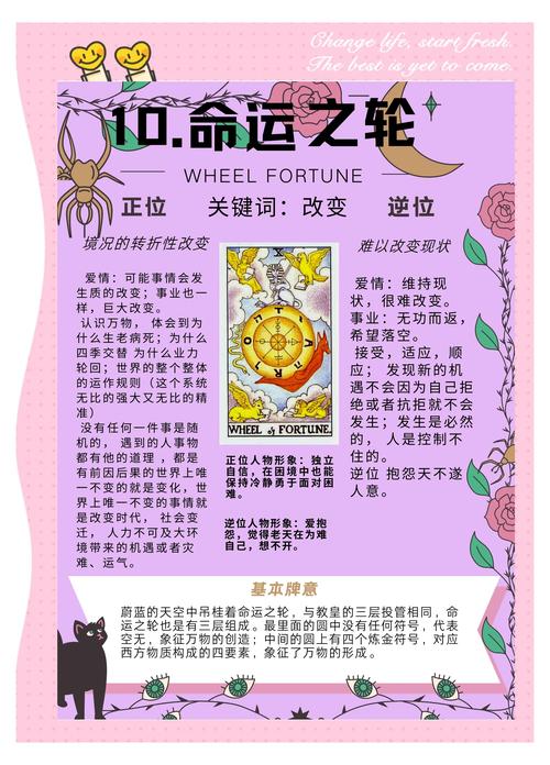 如何下载《命运之墓》：详细教程与实用技巧