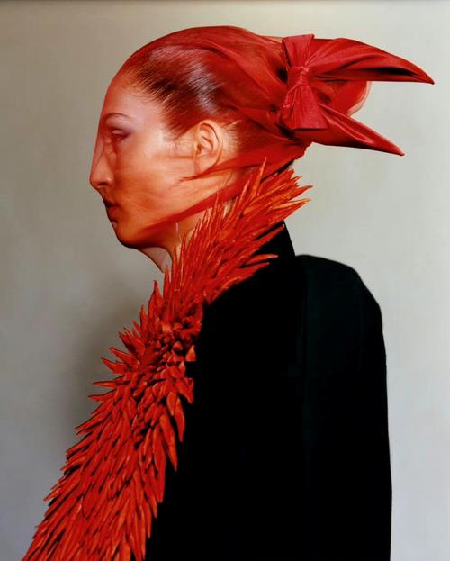 红色面纱官网：绅士游戏市场的深度剖析