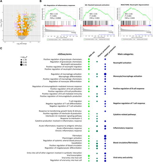 深入分析《克莉斯塔与托尼奥》官方正式版下载最新版的市场表现与用户体验