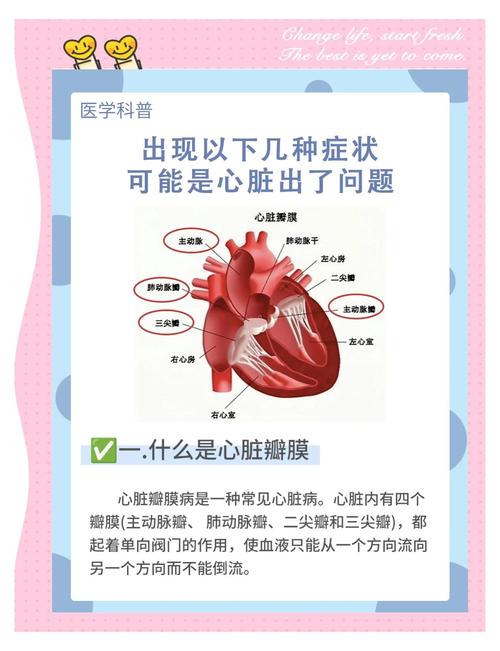 心脏问题最新版本：深度解析与应对策略
