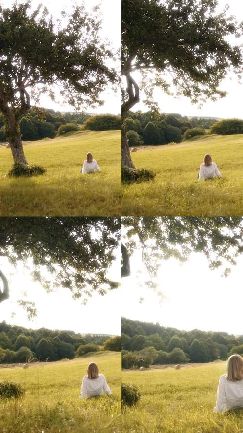 如何在宁静草地中畅玩绅士游戏：实用教程