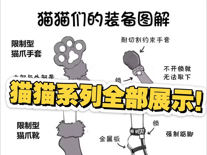 盯档猫游戏官网使用教程：一步步带你畅玩游戏