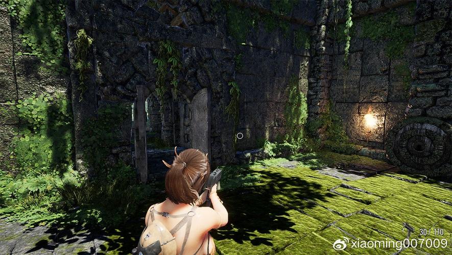 阳光下的野兽安卓：一场视觉与感官的极致体验