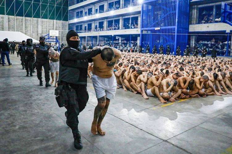 深入解析：变态监狱汉化版下载的背景与影响