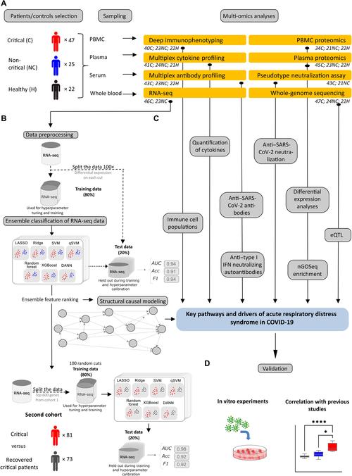 深入分析“请叫我coser1官网”：绅士游戏中的新兴力量