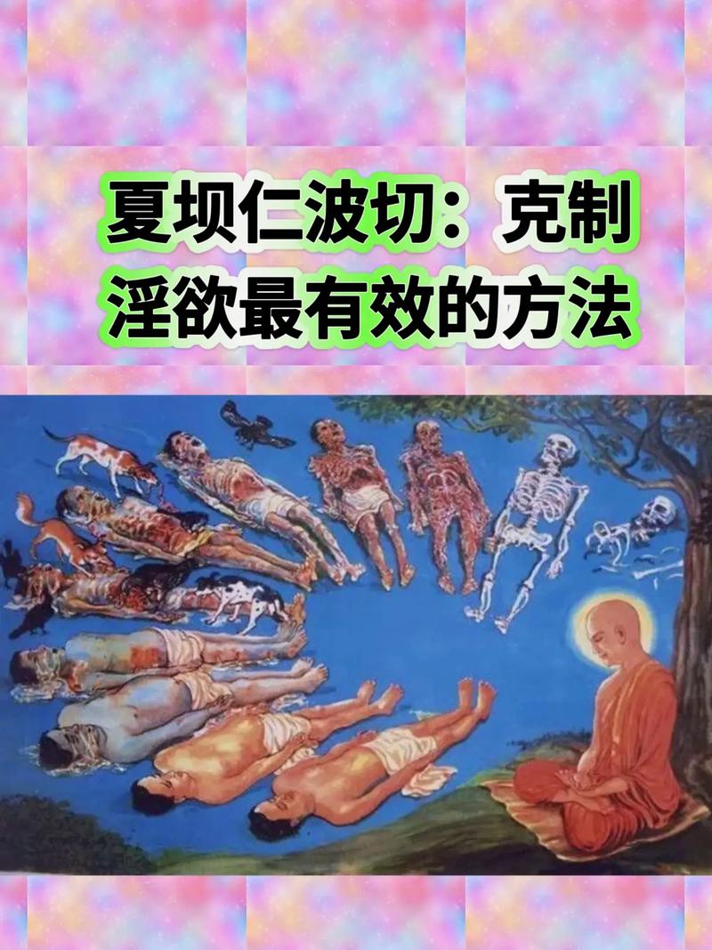 如何有效使用堕邪女神官网的详细指南