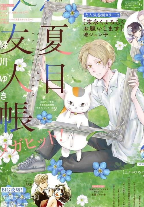 夏目友人帐汉化版最新更新内容深度解析