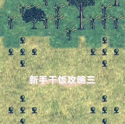 欲望村最新攻略：新手必备实用教程