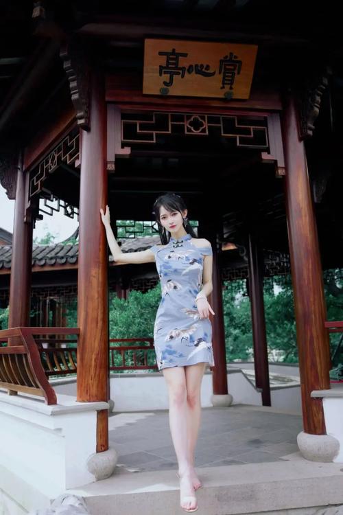 庭树沐年官方网站分析：深度解读与行业前景