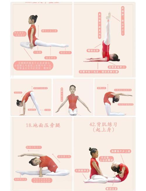 生命之舞最新教程：新手入门指南