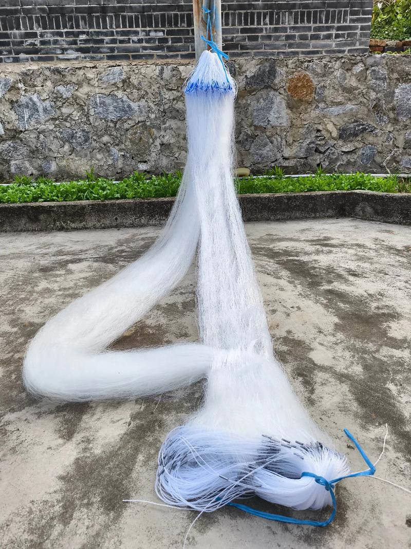 渔网亡灵最新版本实用教程：轻松上手攻略