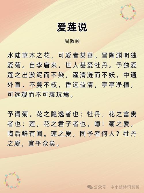 深度解析：爱相思下载安卓的市场表现与未来趋势
