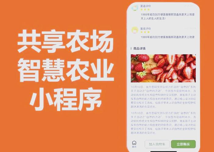 如何下载保利托农：详细操作教程