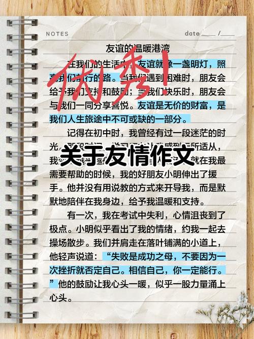 深入分析《友情与利益2》官方网站的特点与影响