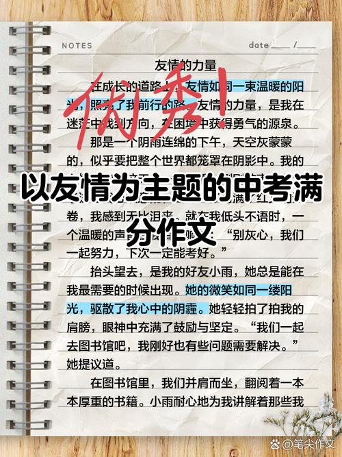 深入分析《友情与利益2》官方网站的特点与影响