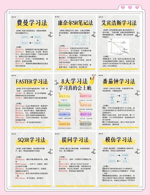 如何高效使用神级学院官方网站的全攻略