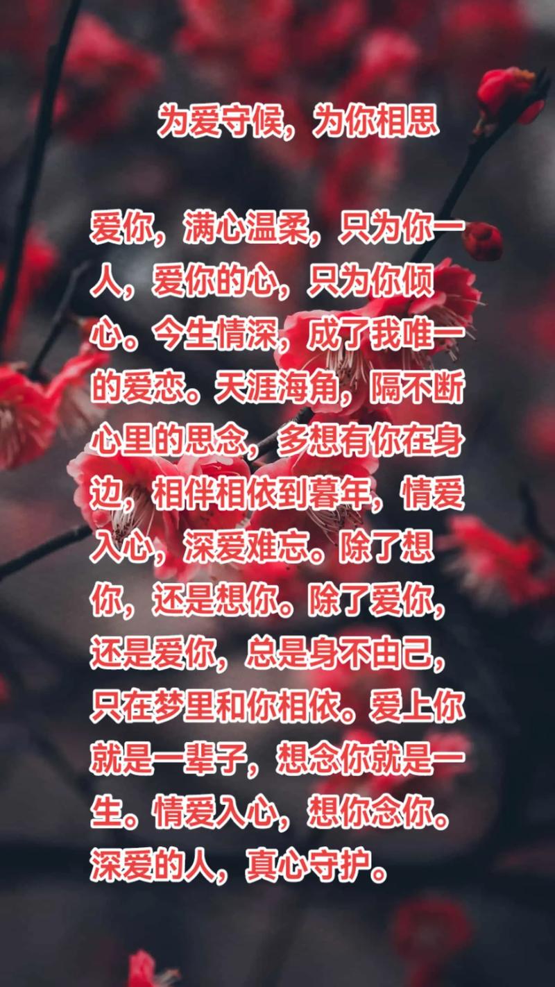 爱相思版本大全：深度解析与实用指南