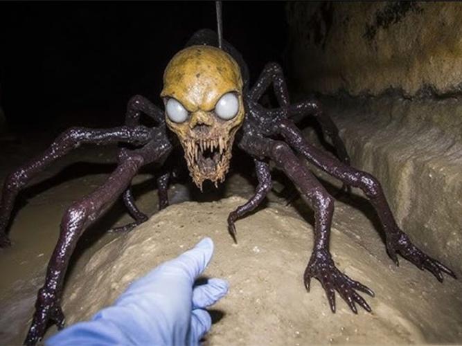 捕获未知生物最新动态分析：潜在机遇与挑战