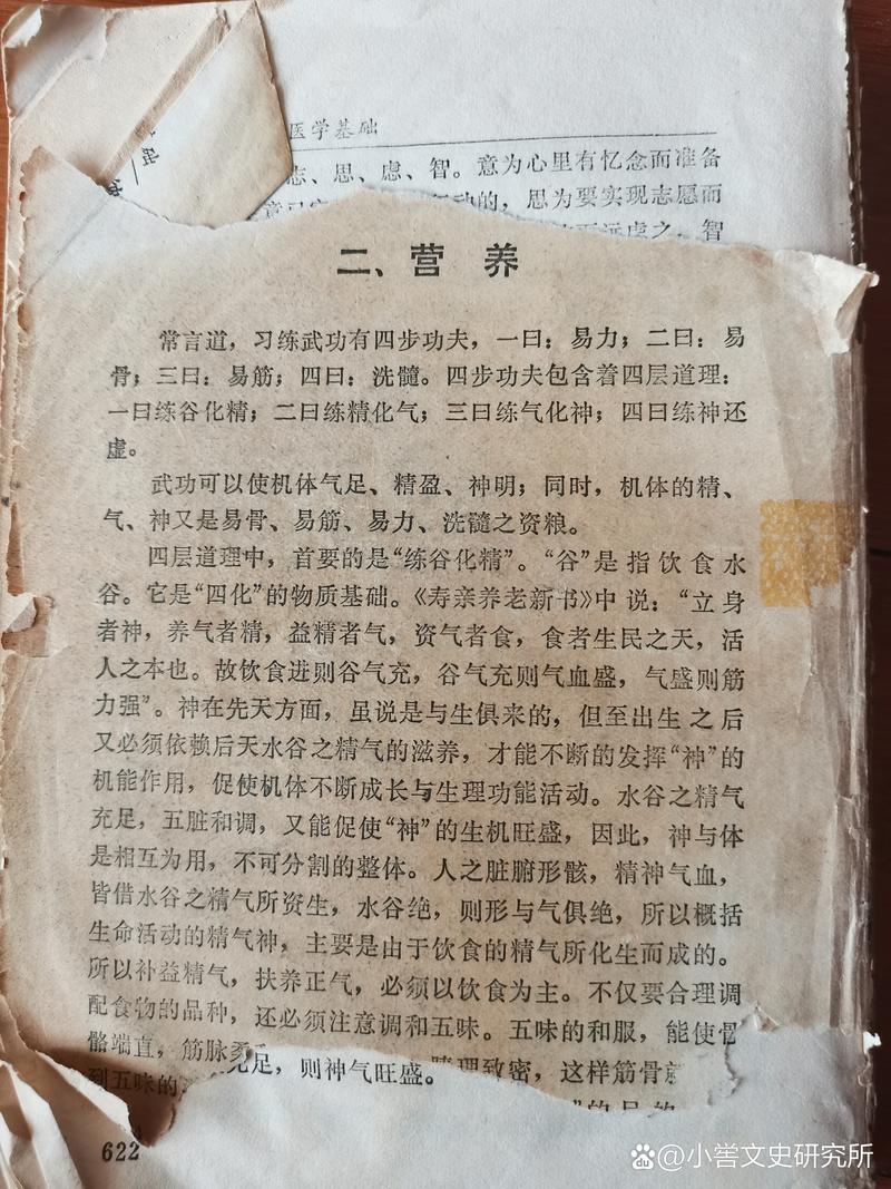 掌握竹内的旅程最新：新手必备操作攻略