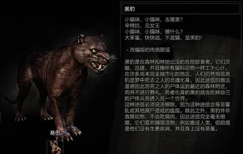 巫师猎人版本大全：详细教程与实用技巧