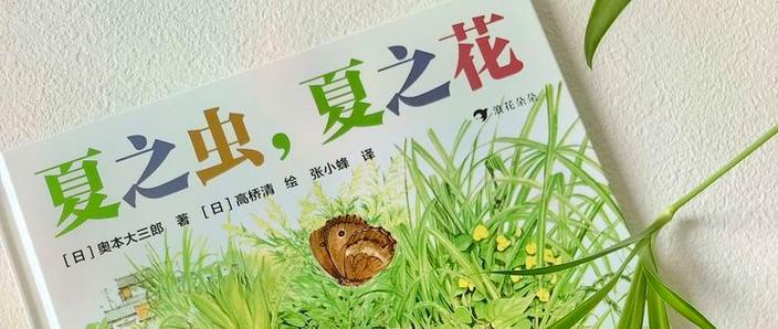 掌握《一夏之花最新版本》的实用教程