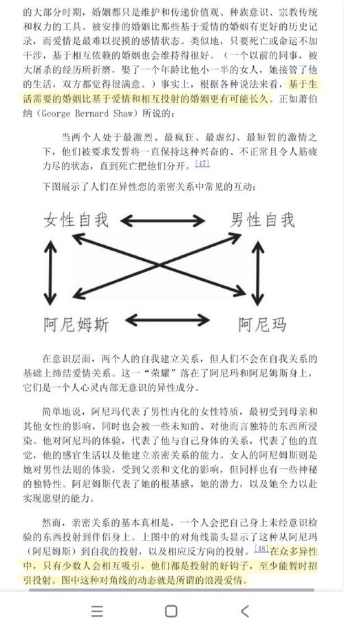 深入解析艾缇莉娜准则游戏官网:绅士游戏的未来与挑战