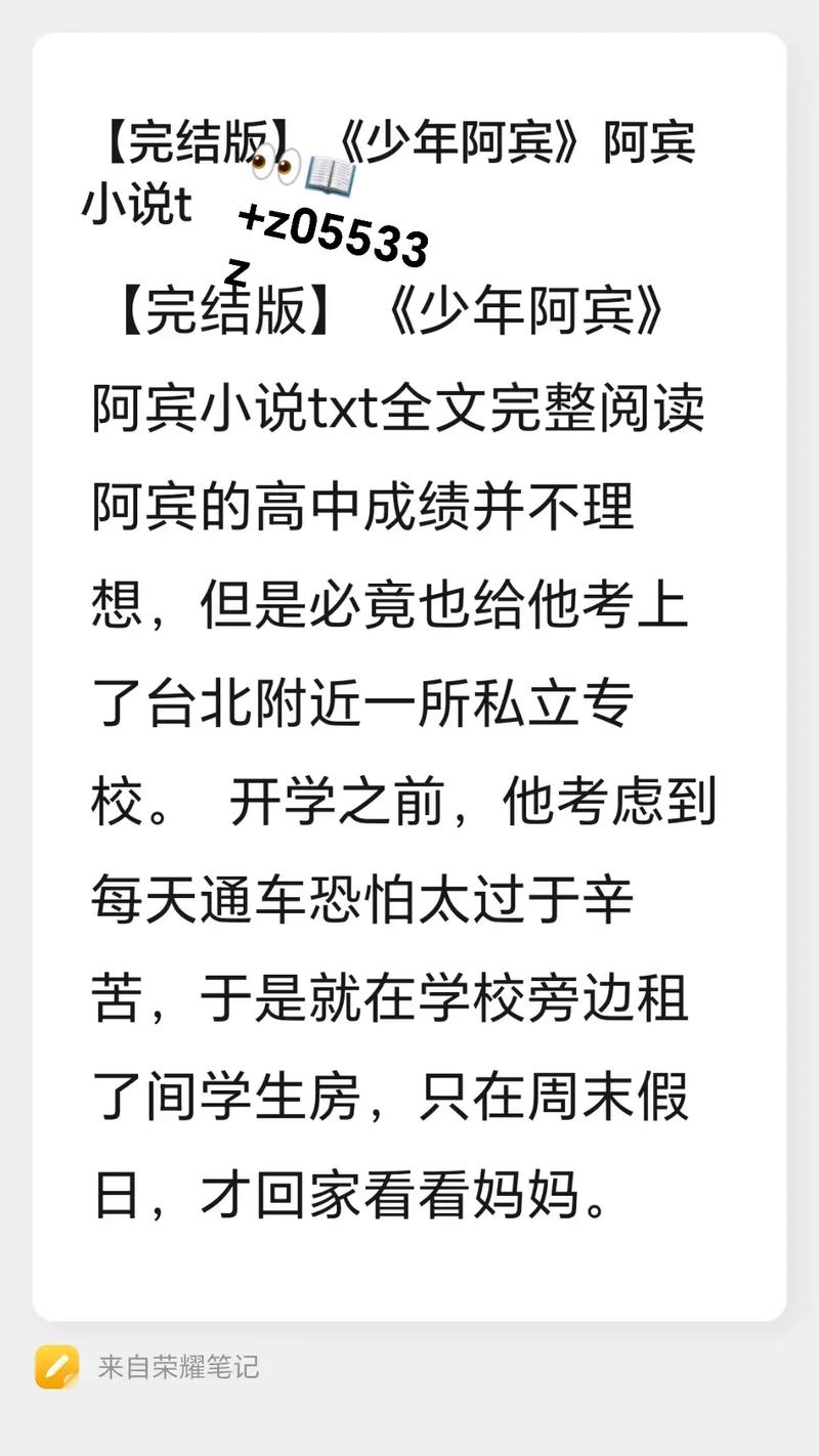 少年阿宾小说游戏的深入解析与攻略指南