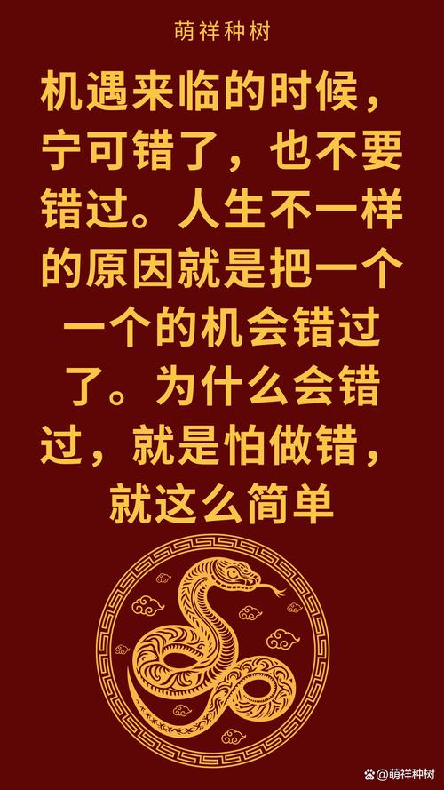 如何顺利体验二次机遇最新版本：实用教程