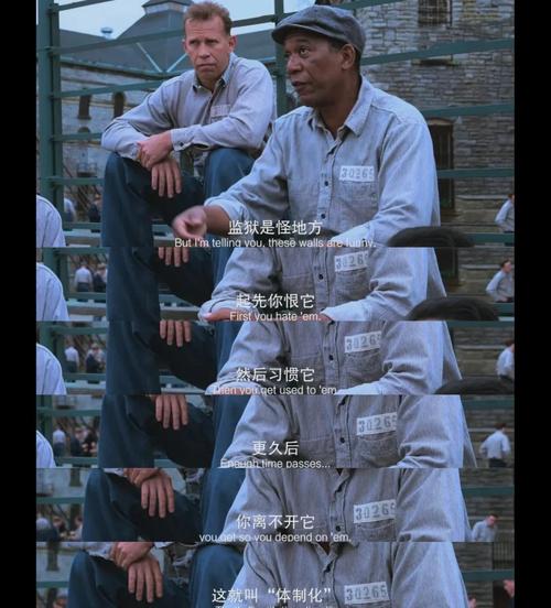 深度解析《永远监狱》：安卓平台的游戏体验与前景