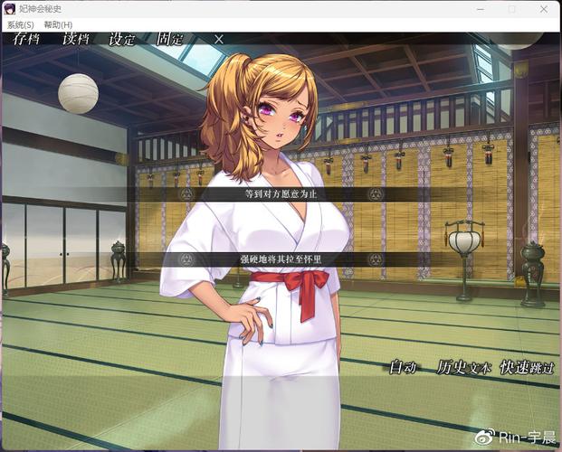 揭秘《妃神会秘史》的魅力：安卓平台的深度分析