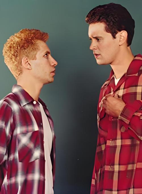 室友最新：探索合作与冲突的平衡艺术