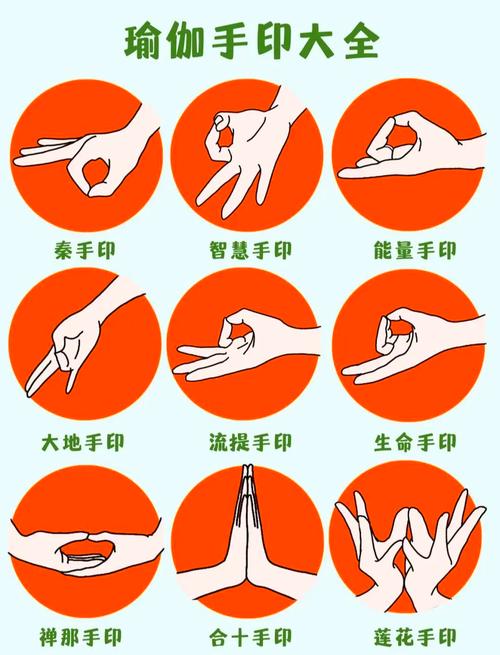 本能释放最新：新手指南与实用技巧