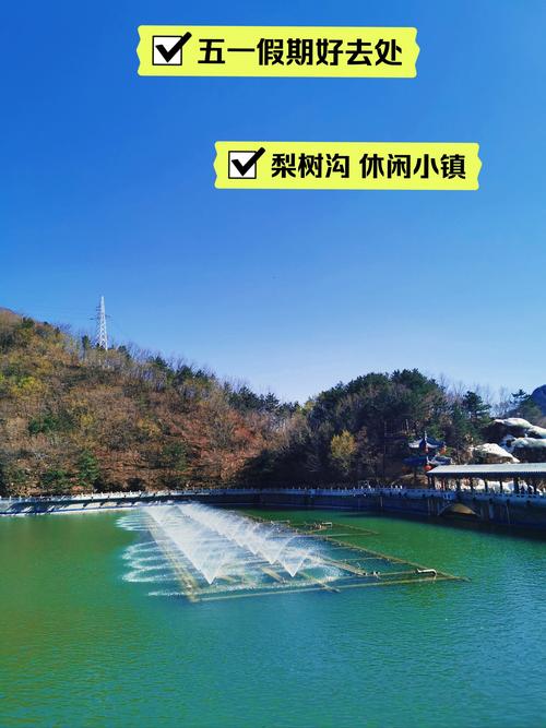 新手必看：保利托农游戏官网使用教程