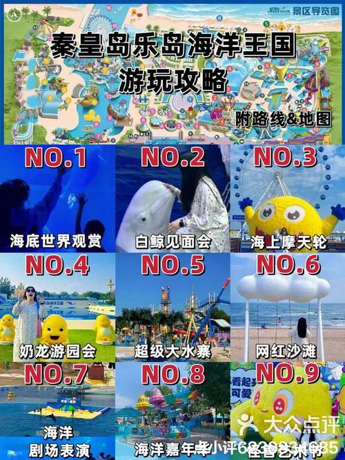 欢乐岛最新版本分析：深度解读与实用建议