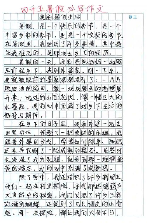 探索《我的夏天》的下载之路：深度分析与实用指南