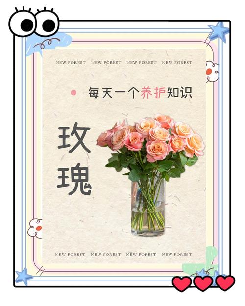 如何高效使用玫瑰行动官网进行绅士游戏攻略